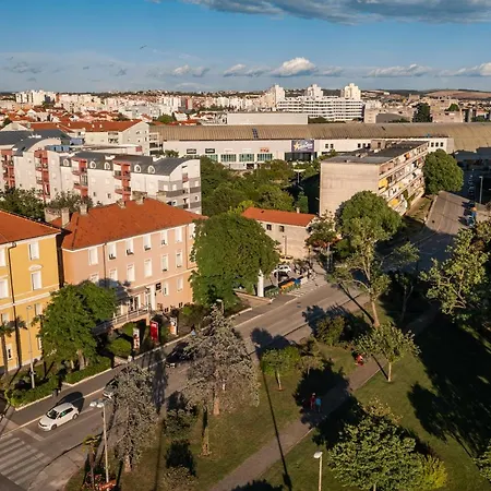 Goga Nova *