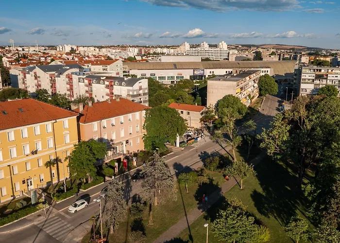Goga Nova *